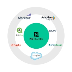 NetSuite Ecosystem